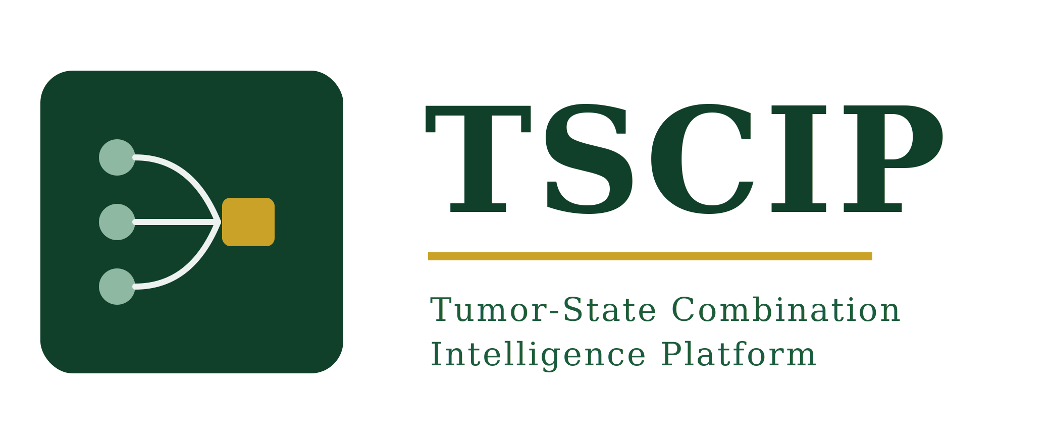 TSCIP — Tumor-State Combination Intelligence Platform
